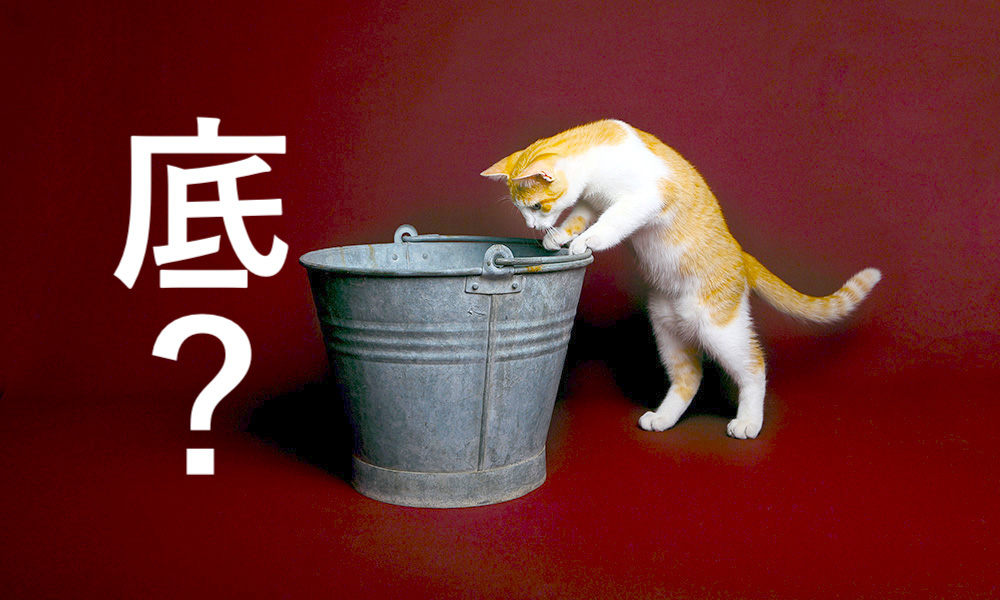 トレーダーが解説】そこは本当に「底」なのか？ プロが見ている数字と