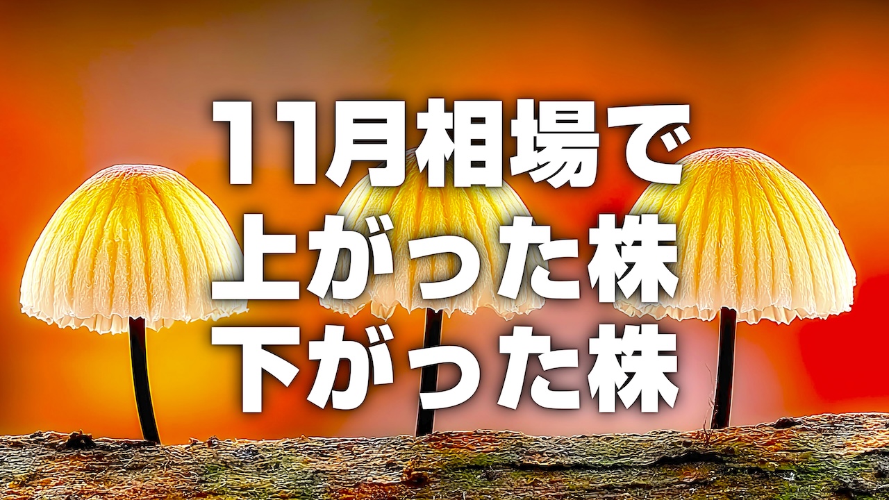 底堅さを感じる日本株。その違和感の正体と、プロが追いかける銘柄とは